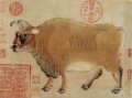 Chinese cattle
